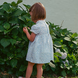 Azul Paisley Dress