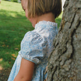 Azul Paisley Dress