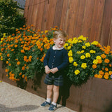 Evergreen Tartan Shorts