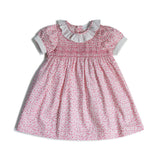 Rosa Vine Dress