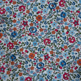 Multicolor Jardin Romper